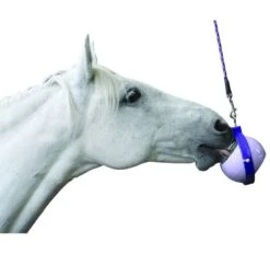 Likit Boredom Buster -Equestrian Supplie Shop BoredomBuster4 1280x1280