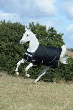 Outdoor Blanket Anniversary Turnout 50 G -Equestrian Supplie Shop Bucas Qutdoordecke Anniversary Turnout 50g 2 1280x1280