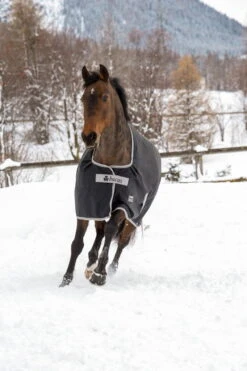 Outdoor Blanket Anniversary Turnout 50 G -Equestrian Supplie Shop Bucas Qutdoordecke Anniversary Turnout 50g 4 1280x1280