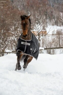 Outdoor Blanket Anniversary Turnout 50 G -Equestrian Supplie Shop Bucas Qutdoordecke Anniversary Turnout 50g 6 1280x1280