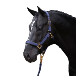 Covalliero Halter Top Line, Nylon Halter