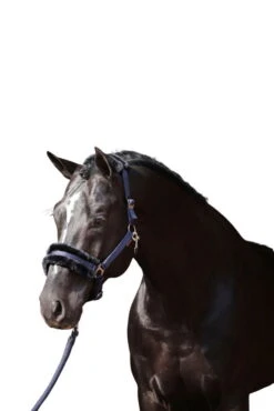 Covalliero Halter Classic Soft, Synthetic Fur Halter