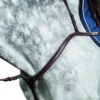 Anatomical Breastplate D35 -Equestrian Supplie Shop D35 01r9daZNqzlja1i 1280x1280