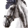 Fly Bonnet Soundless Net -Equestrian Supplie Shop E00061 2487COwlPcDVAF 1280x1280