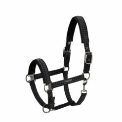 Halter Doublepin Velvet Essence 22/23