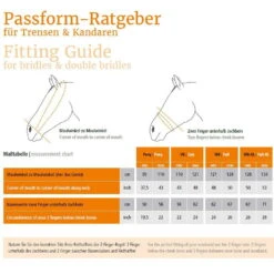 Snaffle Malibu With Swedish Caveson Special -Equestrian Supplie Shop Fitting Guide BridlesC9ulOwK5Pc16bWPrfusZhZtZkh 1280x1280