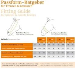 Double Bridle Venice -Equestrian Supplie Shop Fitting Guide BridlesC9ulOwK5Pc16b 1280x1280