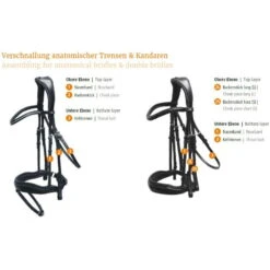 Snaffle Malibu With Swedish Caveson Special -Equestrian Supplie Shop Fitting Guide Bridles 2wFNqxDAQ0Z9Lvo1uz8REyA4e4Y 1280x1280