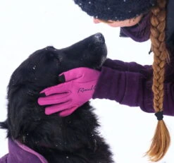 Roeckl Winter Polartec Riding Gloves Weldon -Equestrian Supplie Shop Foto 12 01 19 11 57 56wA35atUKygAao 1280x1280