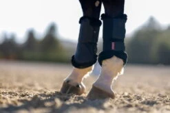 Lemieux Fleece Edge Mesh Brushing Boots -Equestrian Supplie Shop G0A4612 LR processed 1280x1280