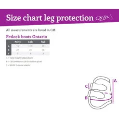 Fetlock Boots Ontario -Equestrian Supplie Shop Gr ssentabelle Ontario Streichkappe 1280x1280
