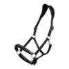 Halter HS100, Safety Halter, Leather Halter 2 Halter HS100, Safety Halter, Leather Halter -Equestrian Supplie Shop HS100 006 OK 1280x1280