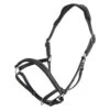 Halter HVPLegacy, Leather Halter -Equestrian Supplie Shop HV Polo halfter HVPLegacy black 1 1280x1280