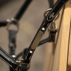 Halter HVPLegacy, Leather Halter -Equestrian Supplie Shop HV Polo halfter HVPLegacy black 3 1280x1280