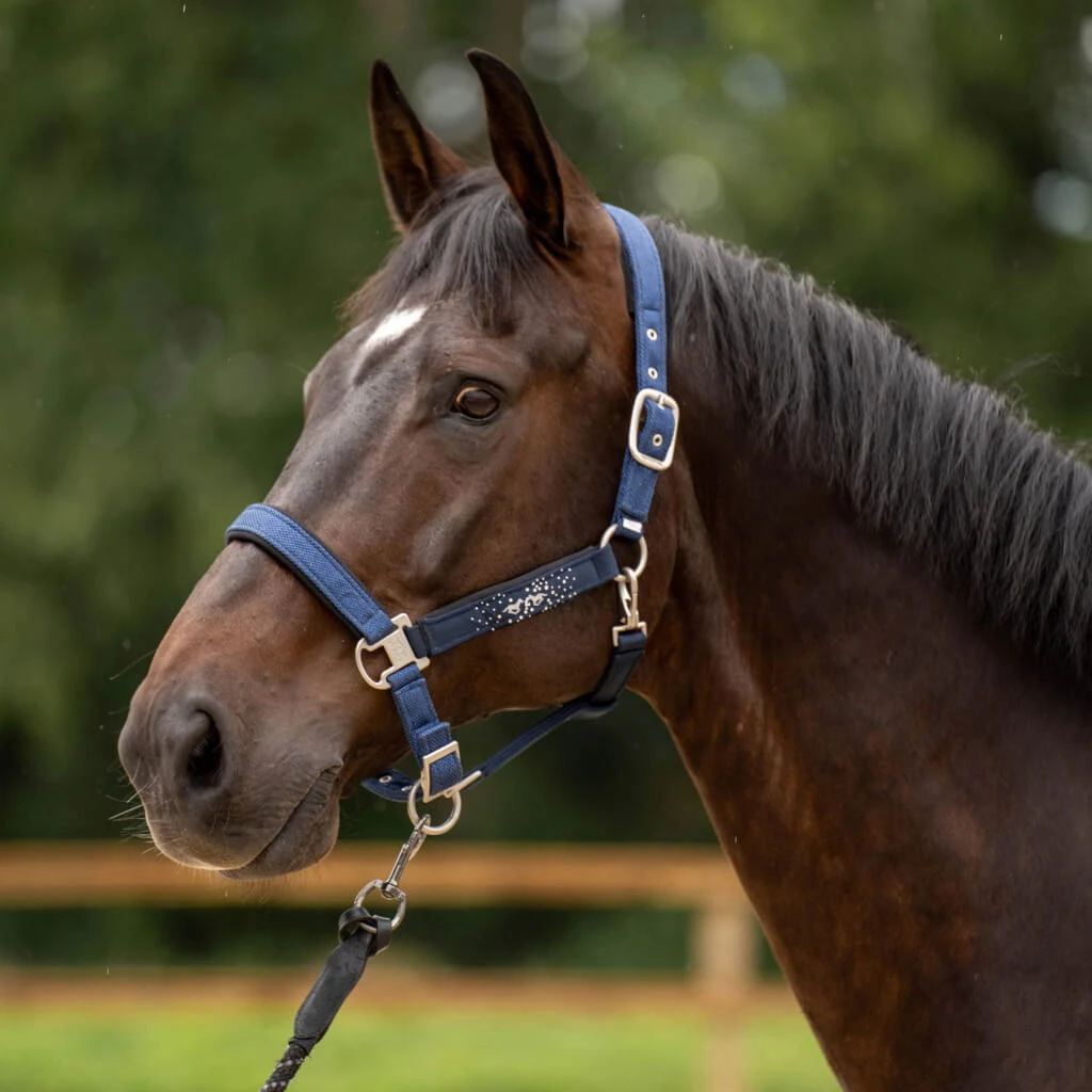 Halter HVPSkye SS23 4 Halter HVPSkye SS23 - Image 2