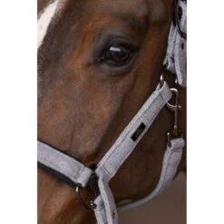 Halter HVPFrancis FW22, Nylon Halter