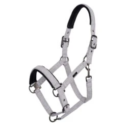 Halter HVPFrancis FW22, Nylon Halter -Equestrian Supplie Shop HV Polo HW22 Halfter HVPFrancis grey 1280x1280