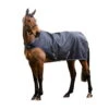 Walker Rug Amigo Walker, 100 G -Equestrian Supplie Shop Horseware Amigo walker navy white 1CJkyqYITS9cn2 1280x1280