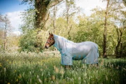 Fly Rug AmEco Bug Buster, With UV Protection -Equestrian Supplie Shop Horseware Fliegendecke AmEco Bug Buster 2 1280x1280