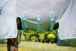 Fly Rug AmEco Bug Buster, With UV Protection -Equestrian Supplie Shop Horseware Fliegendecke AmEco Bug Buster 5 1280x1280