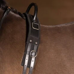 Lunge Girth IRHVito, With Handle -Equestrian Supplie Shop Imperial Riding voltigiergurt IRHVito mit Griff black 3 1280x1280