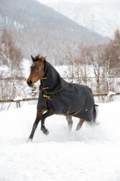 Outdoor Rug Irish Turnout Light, 50 G, With Neck Part -Equestrian Supplie Shop Irish Turnout Combi Neck Black 654 659 656 308 683 685 8398 1280x1280