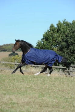 Irish Turnout Light Outdoor Blanket 50g -Equestrian Supplie Shop Irish Turnout Navy 654 659 656 P9224 1280x1280