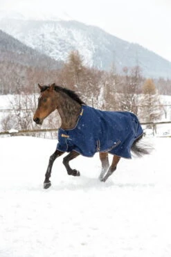 Irish Turnout Light Outdoor Blanket 50g -Equestrian Supplie Shop Irish Turnout Navy 8485 1280x1280