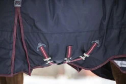 Lemieux Kudos Turnout Rug, 100 G -Equestrian Supplie Shop JKleinPhotos0153 processed 1280x1280 1