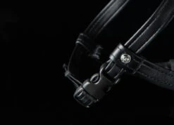 KASK Riding Helmet Kooki Lady Shadow Crystals Rivet 12 KASK Riding Helmet Kooki Lady Shadow Crystals Rivet -Equestrian Supplie Shop Kask Reithelm kooki lady shine crystals rivet black 42GcFLn3NlnJBW 1280x1280