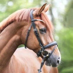 Bridle Everlyn, Swedish Combined, With Detachable Locking Strap -Equestrian Supplie Shop Kavalkade Trense Everlyn schwarz 1 1280x1280