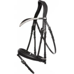 Bridle Everlyn, Swedish Combined, With Detachable Locking Strap
