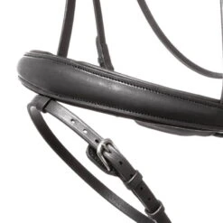 Bridle Everlyn, Swedish Combined, With Detachable Locking Strap -Equestrian Supplie Shop Kavalkade Trense Everlyn schwarz 3 1280x1280