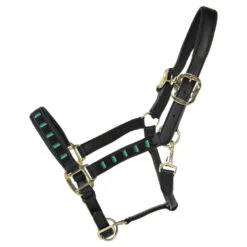 Kentucky Horsewear Halter Pearls, Synthetic Leather