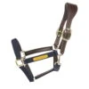 Kentucky Horsewear Anatomical Nylon Halter -Equestrian Supplie Shop Kentucky Horsewear Halfter Anatomisch Nylon Navy 1 1280x1280