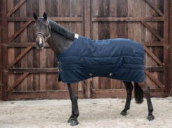 Kentucky Horsewear Stable Rug Classic, 200 G 10 Kentucky Horsewear Stable Rug Classic, 200 G -Equestrian Supplie Shop Kentucky Horsewear Stalldecke Classic navy 6 1280x1280
