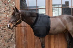 Kentucky Horsewear Chest Protection -Equestrian Supplie Shop Kentucky Horsewear brustschutz black 10 1280x1280