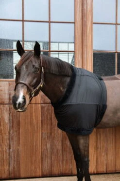 Kentucky Horsewear Chest Protection -Equestrian Supplie Shop Kentucky Horsewear brustschutz black 11 1280x1280
