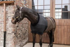 Kentucky Horsewear Chest Protection -Equestrian Supplie Shop Kentucky Horsewear brustschutz black 1 1280x1280