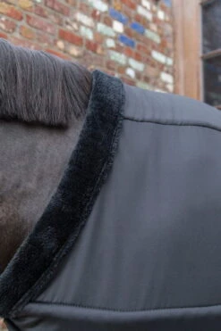 Kentucky Horsewear Chest Protection -Equestrian Supplie Shop Kentucky Horsewear brustschutz black 3 1280x1280