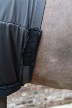 Kentucky Horsewear Chest Protection -Equestrian Supplie Shop Kentucky Horsewear brustschutz black 4 1280x1280