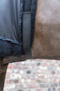 Kentucky Horsewear Chest Protection -Equestrian Supplie Shop Kentucky Horsewear brustschutz black 7 1280x1280