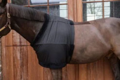 Kentucky Horsewear Chest Protection -Equestrian Supplie Shop Kentucky Horsewear brustschutz black 8 1280x1280
