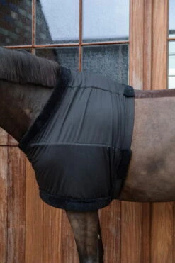 Kentucky Horsewear Chest Protection -Equestrian Supplie Shop Kentucky Horsewear brustschutz black 9 1280x1280