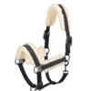 Halter Doublepin Glossy Evo-Wool Reflexx SS23 -Equestrian Supplie Shop Kurzfellhalfter Doublepin Glossy Evo Wool deepgrOdl0vf9y9jIq1 1280x1280
