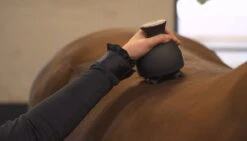 Grooming & Relaxation Brush IRHVolta -Equestrian Supplie Shop Layer 2 processed 1280x1280