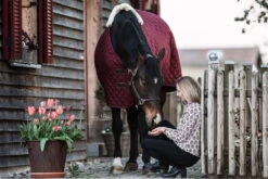 Kentucky Horsewear Anatomical Leather Halter -Equestrian Supplie Shop MUG 2286 web9lshsXrxLwrKQ 1280x1280
