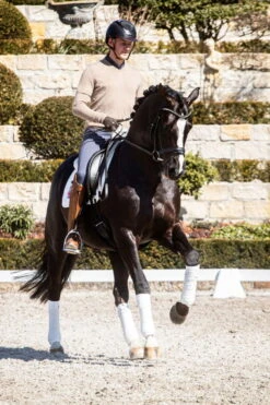 Bandages Organic Cotton -Equestrian Supplie Shop Mood Bandagen weiss 1 processed 1280x1280