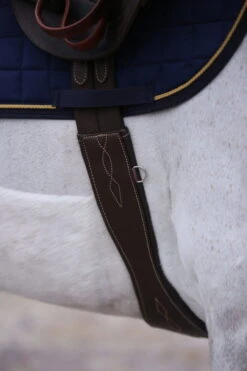 Kentucky Horsewear Anatomical Saddle Girth -Equestrian Supplie Shop Olivier Philippaerts 03 03 17 167 e1491810349735JguqLCEPaGZkc 1280x1280