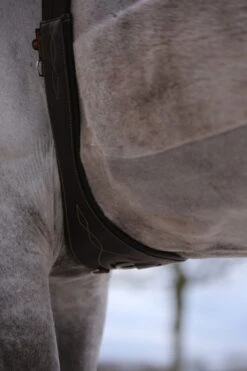 Kentucky Horsewear Anatomical Saddle Girth -Equestrian Supplie Shop Olivier Philippaerts 03 03 17 207 e1491810402617seIxA7O4c39AF 1280x1280